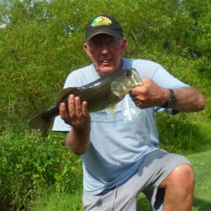 Bass