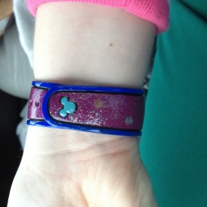 Decorated Magic Bands