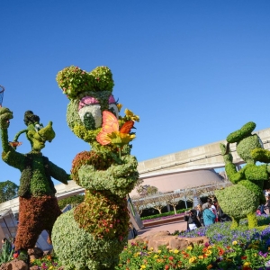 WDWINFO-Epcot-Flower-Garden-2014-003