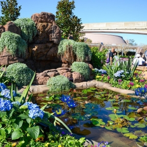 WDWINFO-Epcot-Flower-Garden-2014-004