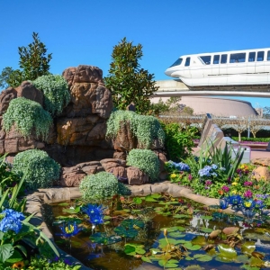 WDWINFO-Epcot-Flower-Garden-2014-005