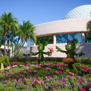 WDWINFO-Epcot-Flower-Garden-2014-007