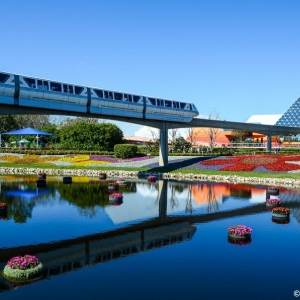 WDWINFO-Epcot-Flower-Garden-2014-008