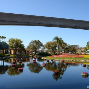 WDWINFO-Epcot-Flower-Garden-2014-009