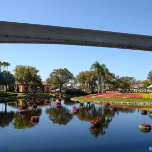 WDWINFO-Epcot-Flower-Garden-2014-009