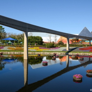 WDWINFO-Epcot-Flower-Garden-2014-010