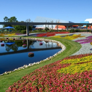 WDWINFO-Epcot-Flower-Garden-2014-012