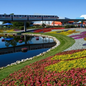 WDWINFO-Epcot-Flower-Garden-2014-013