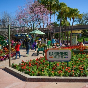 WDWINFO-Epcot-Flower-Garden-2014-014