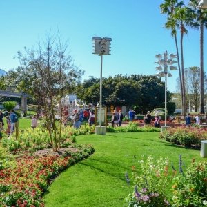 WDWINFO-Epcot-Flower-Garden-2014-024