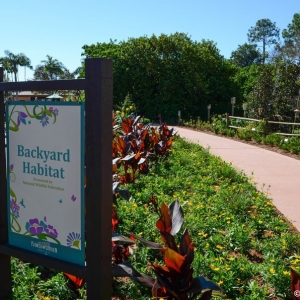 WDWINFO-Epcot-Flower-Garden-2014-039