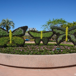 WDWINFO-Epcot-Flower-Garden-2014-044