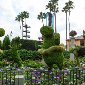 WDWINFO-Epcot-Flower-Garden-2014-054