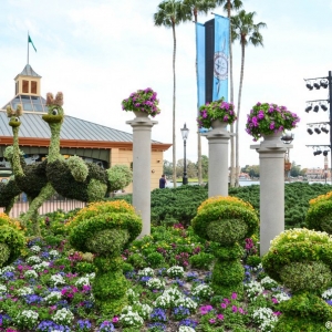 WDWINFO-Epcot-Flower-Garden-2014-055