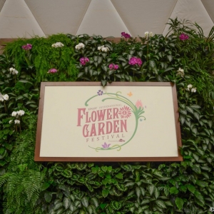 WDWINFO-Epcot-Flower-Garden-2014-059