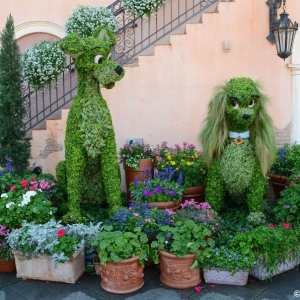 WDWINFO-Epcot-Flower-Garden-2014-092