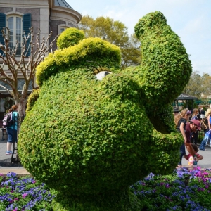 WDWINFO-Epcot-Flower-Garden-2014-101