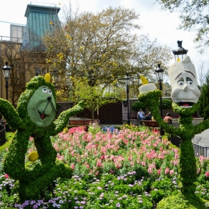 WDWINFO-Epcot-Flower-Garden-2014-102