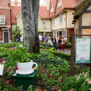 WDWINFO-Epcot-Flower-Garden-2014-106