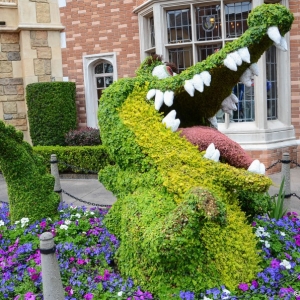 WDWINFO-Epcot-Flower-Garden-2014-108