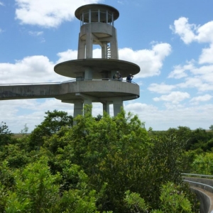 Everglades - Observation Tower