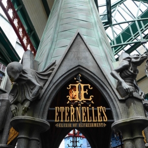 WDWINFO-Universal-Diagon-Alley-Harry-Potter-Eternelles-002