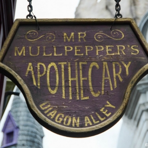 WDWINFO-Universal-Diagon-Alley-010