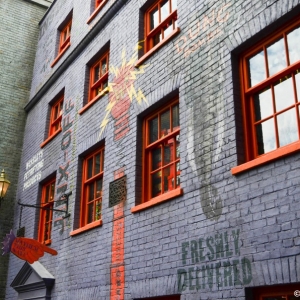 WDWINFO-Universal-Diagon-Alley-032