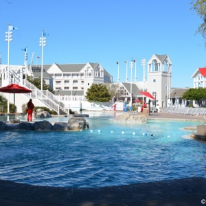 Beach-Club-Pools-11