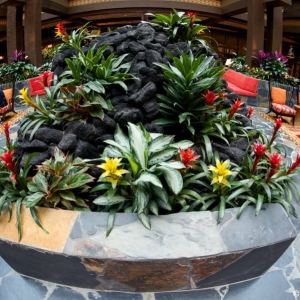 Polynesian-Village-Lobby-16