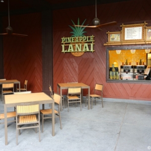 Pineappple-lanai-01