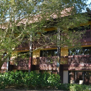 Polynesian-Village-Resort-19