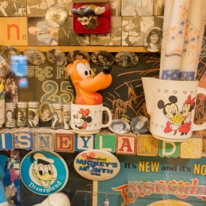 Disneyland-Hotel-116