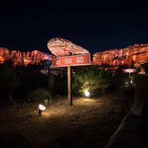 Cars-Land-20