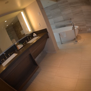 Media 'Hilton-Anaheim-64' in category 'Hilton Anaheim'