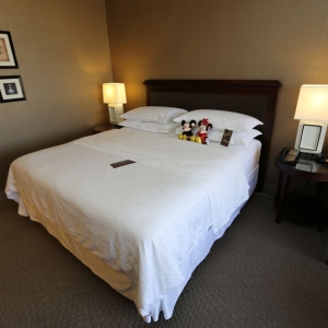 Sheraton-Park-Hotel-Anaheim-45