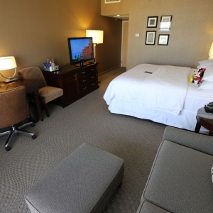 Sheraton-Park-Hotel-Anaheim-47