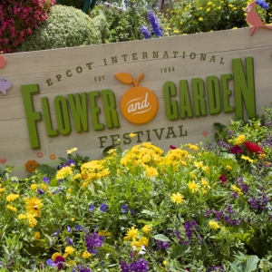 Flower-and-Garden-Festival-67