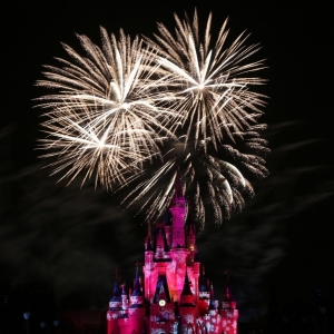 Media 'Mickeys-Very-Merry-Christmas-Party-2015-206' in category '2015 Mickey's Very Merry Christmas Party'