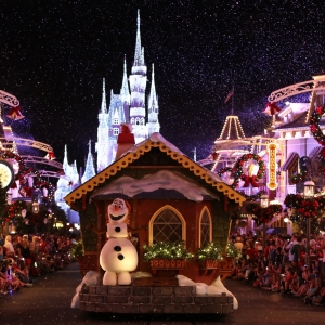 Mickeys-Very-Merry-Christmas-Party-2015-225