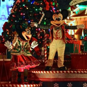 Mickeys-Very-Merry-Christmas-Party-2015-229