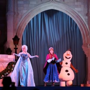 Mickeys-Very-Merry-Christmas-Party-2015-259