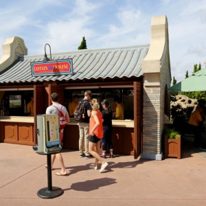 Media 'Flower-garden-festival-2016-107' in category '2016 Epcot Flower and Garden Festival'