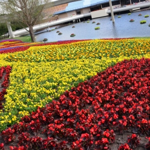 Flower-garden-festival-2016-133