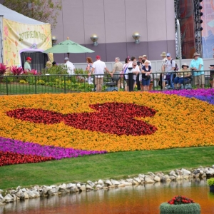 Flower-garden-festival-2016-134