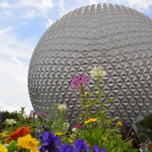 Flower-garden-festival-2016-145