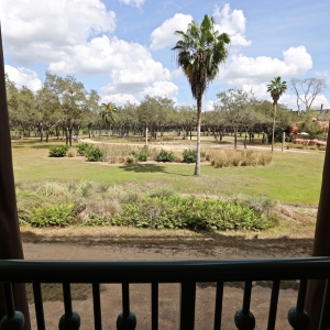 Savanna-view-room-04