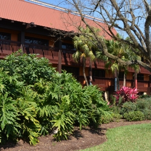 Polynesian-village-resort-57