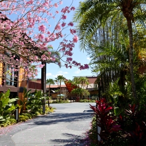Polynesian-village-resort-21
