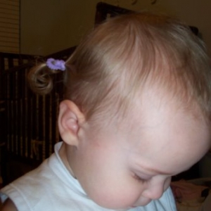 lilydown